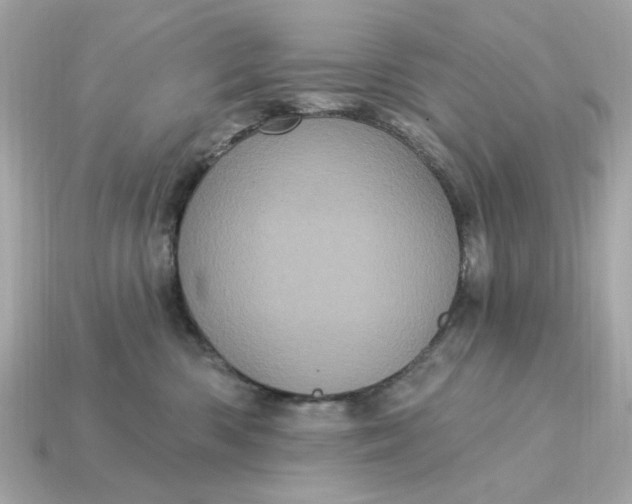 X0000115160426200911101754