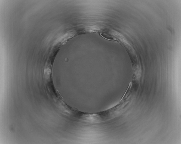 X0000115160427200911101754