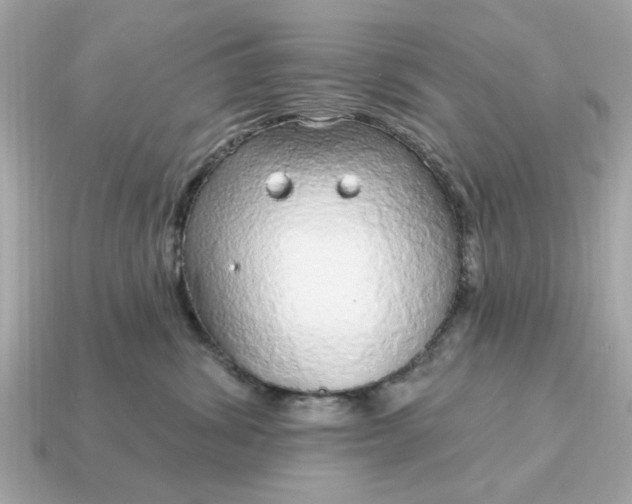 X0000115160428200911101754