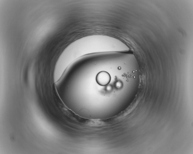 X0000115160429200911101754
