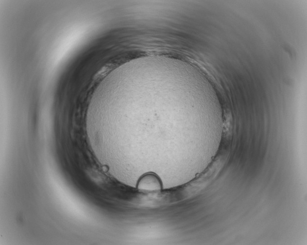 X0000115160430200911101754