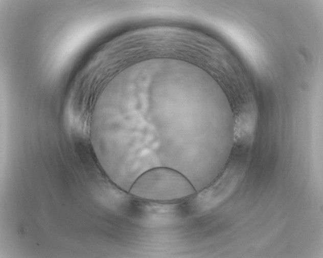 X0000115160431200911101754
