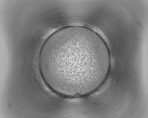 X0000115160433200911101753