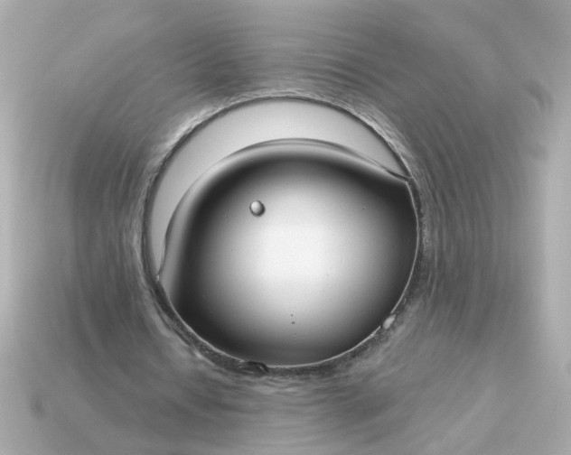 X0000115160434200911101753