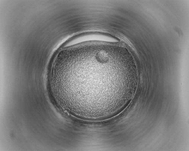 X0000115160436200911101753