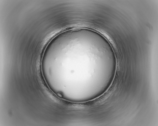 X0000115160437200911101753