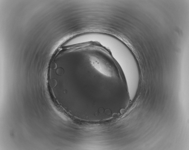 X0000115160438200911101753