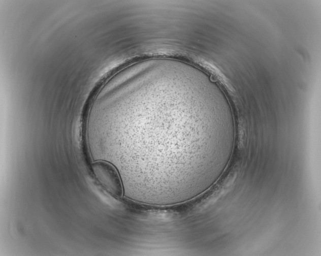 X0000115160439200911101753