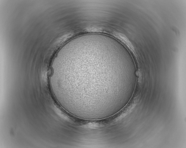 X0000115160441200911101753