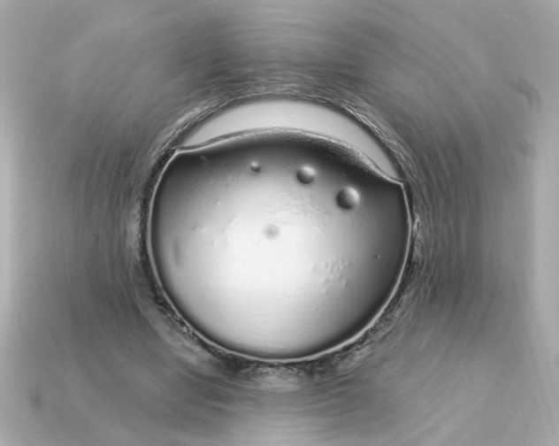 X0000115160442200911101753