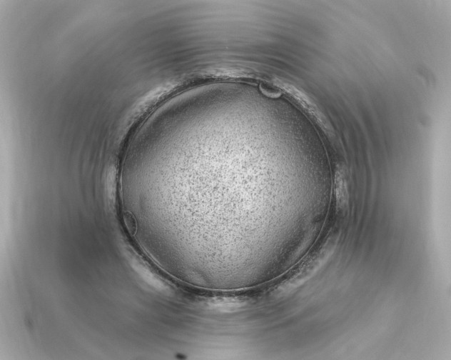 X0000115160445200911101753