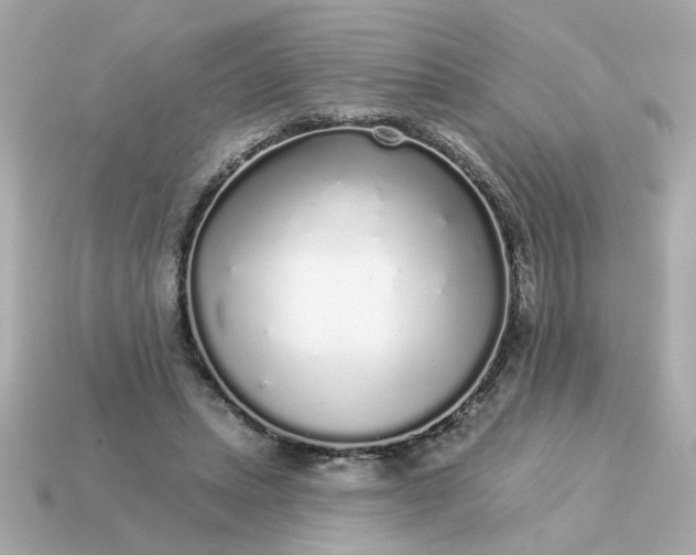 X0000115160447200911101753