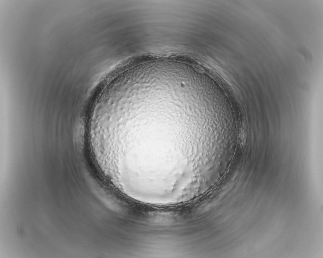 X0000115160448200911101753