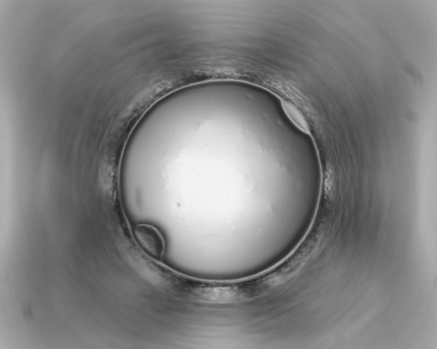 X0000115160449200911101753
