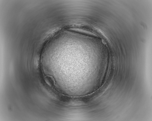 X0000115160451200911101754