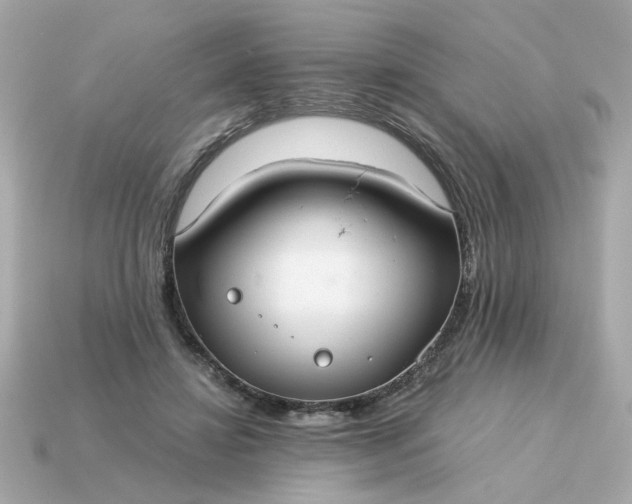 X0000115160452200911101754