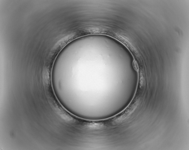 X0000115160453200911101754