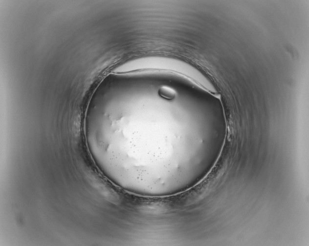 X0000115160454200911101754
