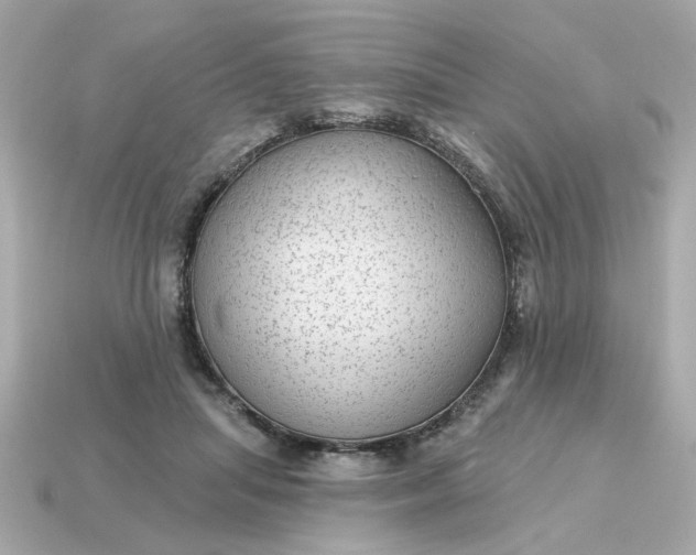 X0000115160455200911101754