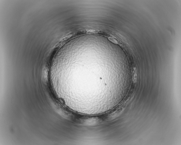 X0000115160456200911101754