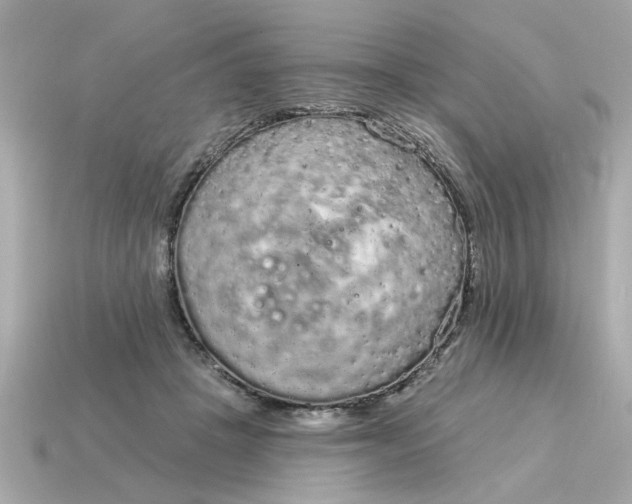 X0000115160457200911101754