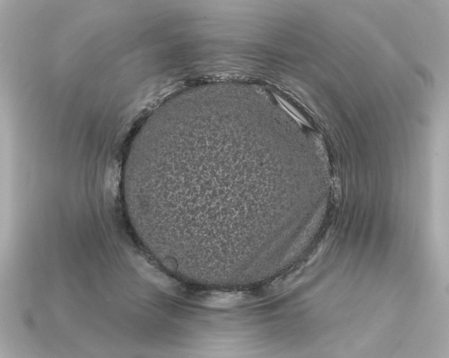 X0000115160458200911101754
