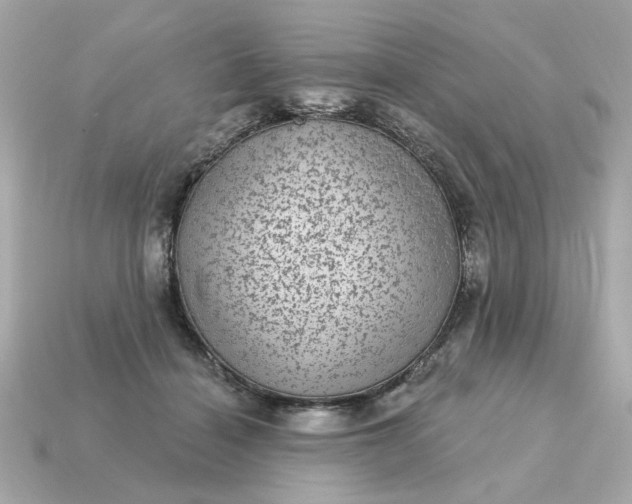 X0000115160460200911101754
