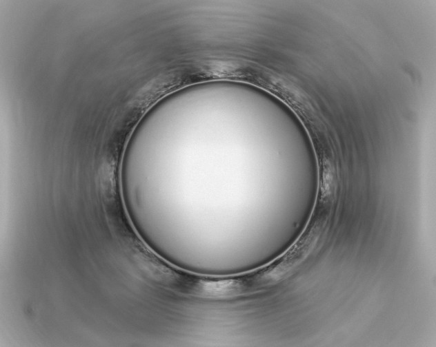 X0000115160461200911101754