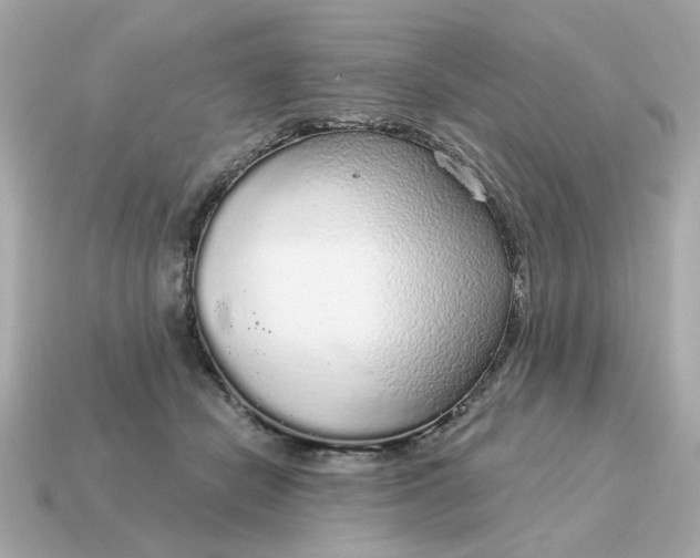 X0000115160462200911101754