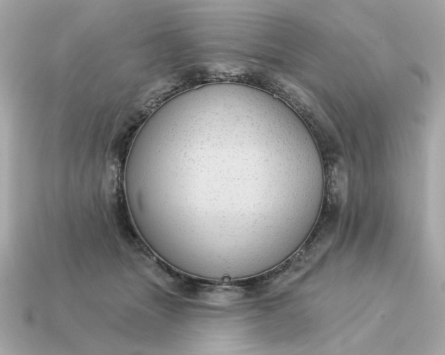 X0000115160463200911101754