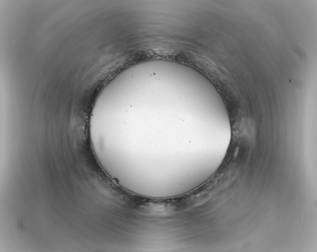 X0000115160464200911101754