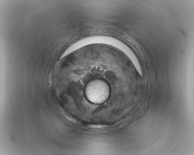 X0000115160465200911101754