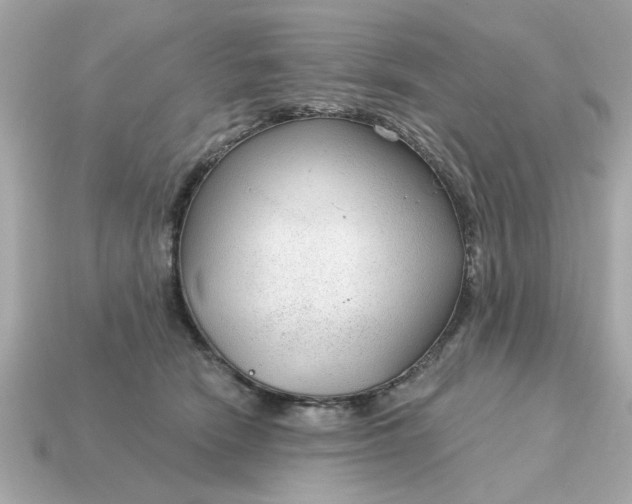 X0000115160466200911101754