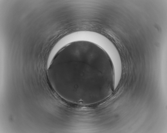 X0000115160467200911101754