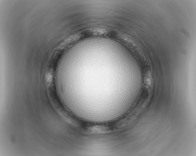 X0000115160468200911101754