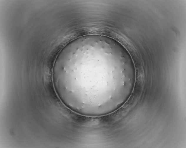 X0000115160469200911101754