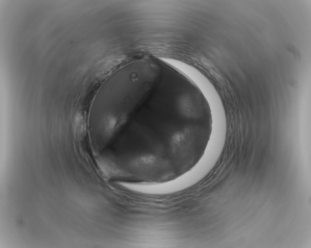 X0000115160471200911101754