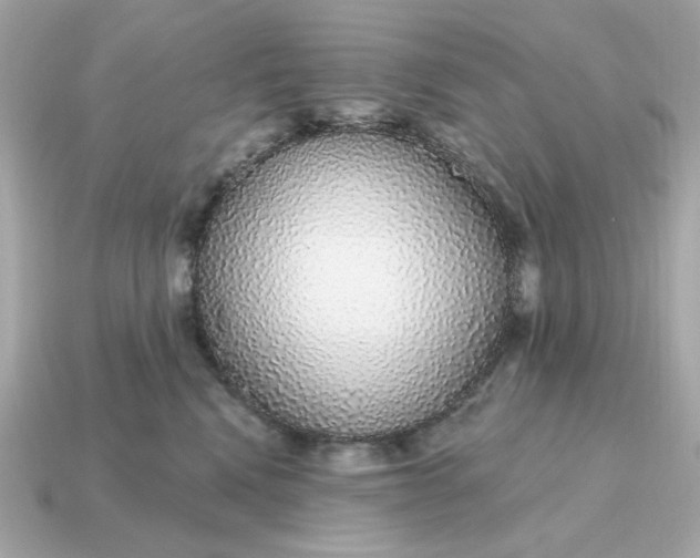X0000115160472200911101754