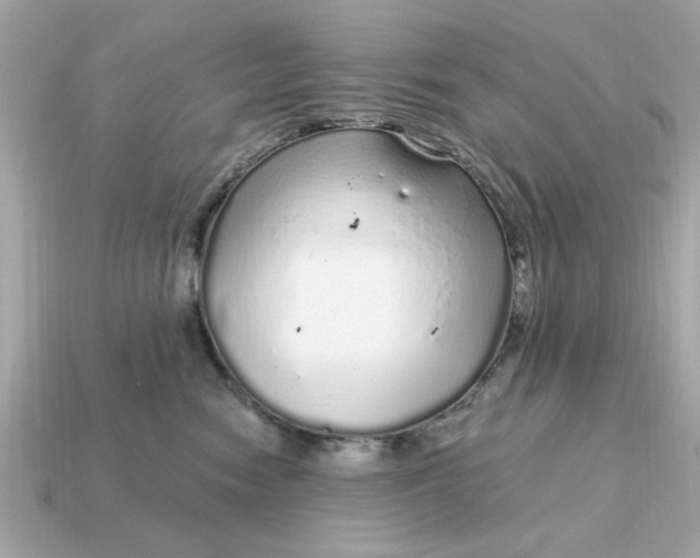X0000115160474200911101754