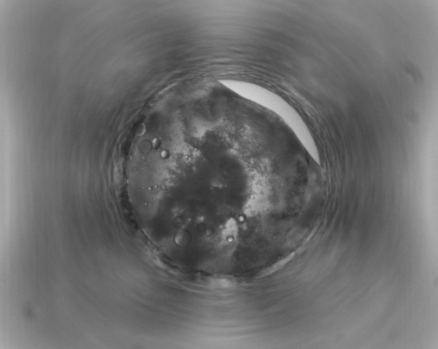 X0000115160475200911101754