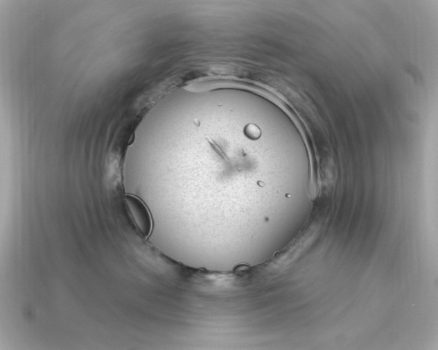 X0000115160478200911101754