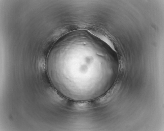 X0000115160479200911101754