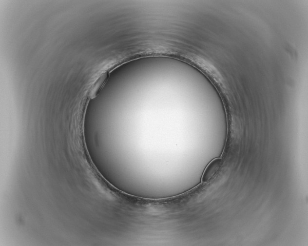 X0000115160481200911101753