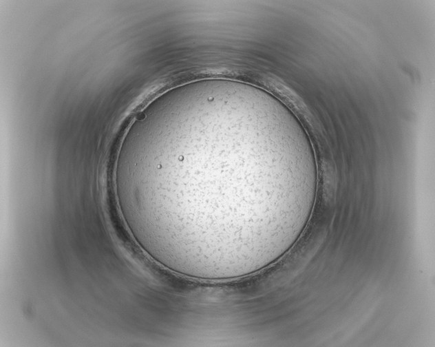 X0000115160482200911101753