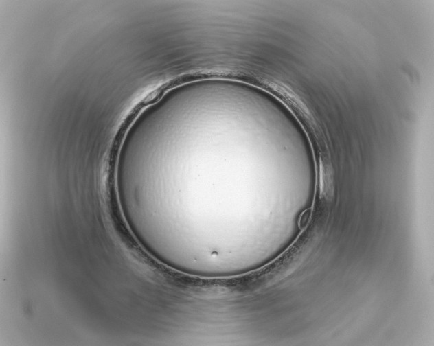 X0000115160483200911101753