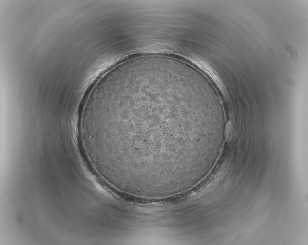 X0000115160485200911101753