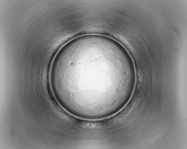 X0000115160487200911101753