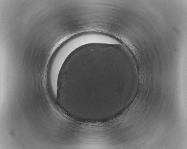 X0000115160488200911101753