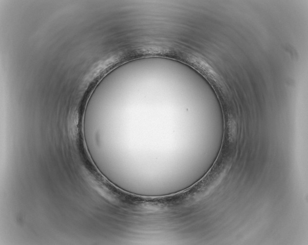 X0000115160490200911101753