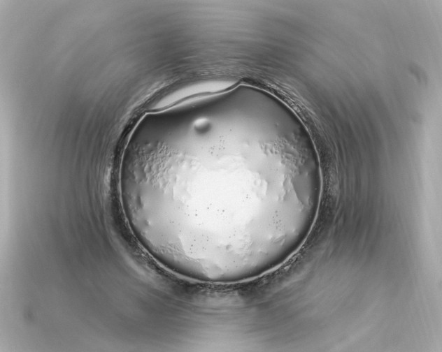 X0000115160491200911101753